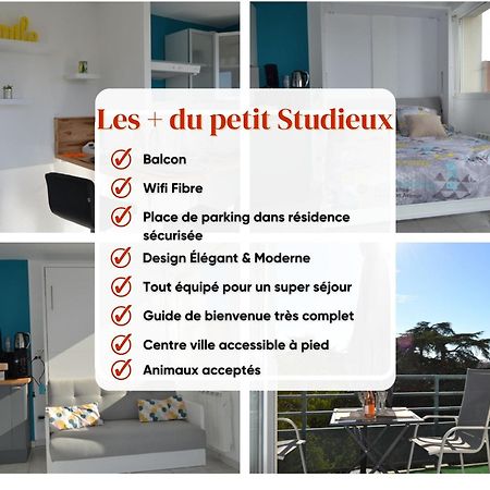 Le Petit Studieux - Parking - Animaux Acceptes - Centre Ville Accessible A Pied Albi Kültér fotó