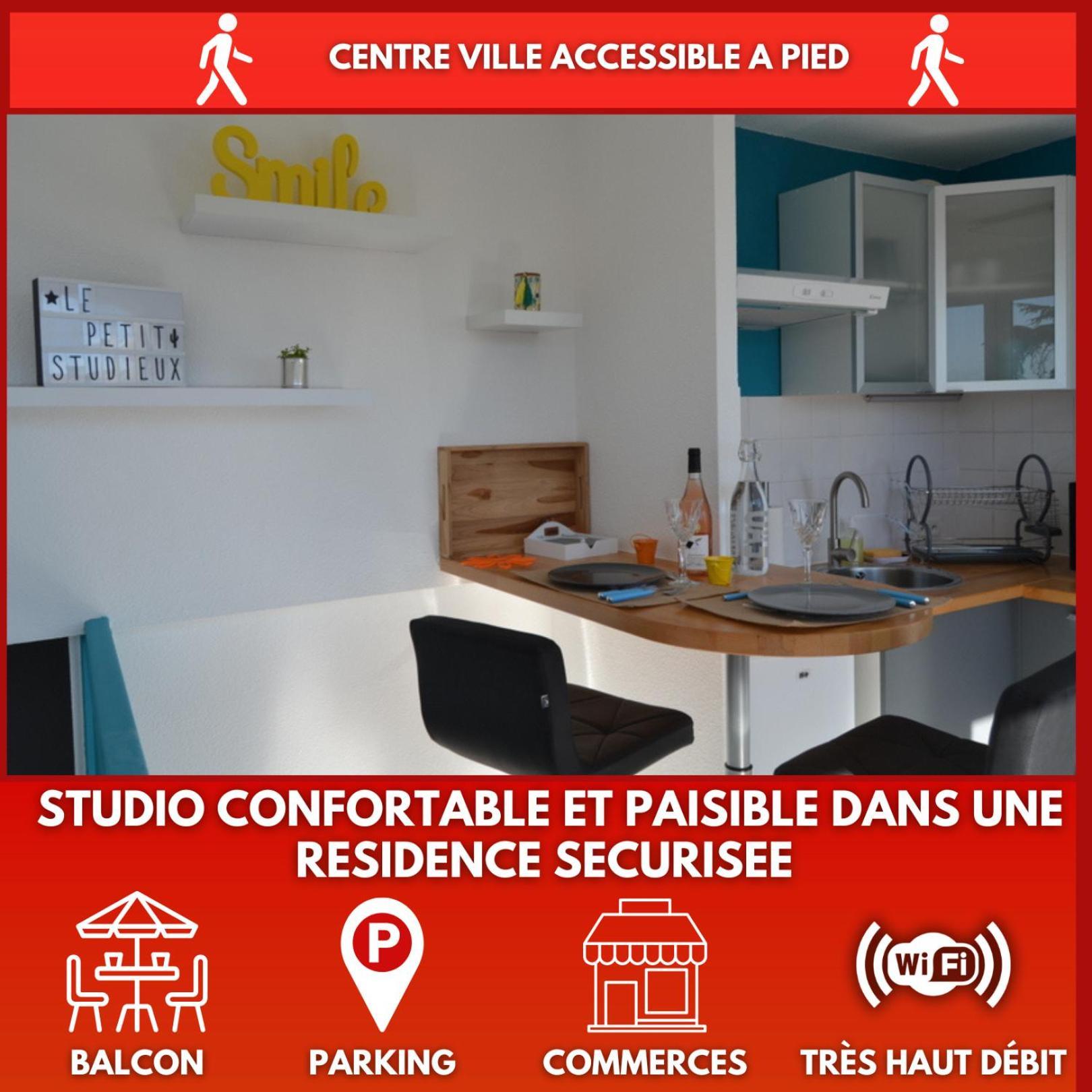 Le Petit Studieux - Parking - Animaux Acceptes - Centre Ville Accessible A Pied Albi Kültér fotó