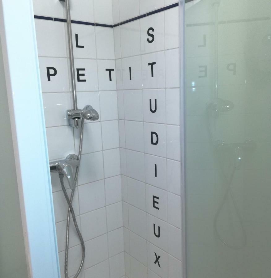 Le Petit Studieux - Parking - Animaux Acceptes - Centre Ville Accessible A Pied Albi Kültér fotó