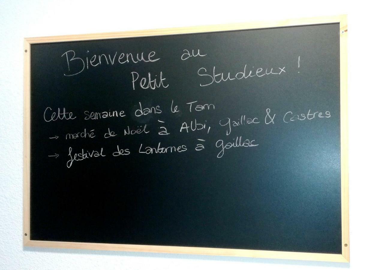 Le Petit Studieux - Parking - Animaux Acceptes - Centre Ville Accessible A Pied Albi Kültér fotó