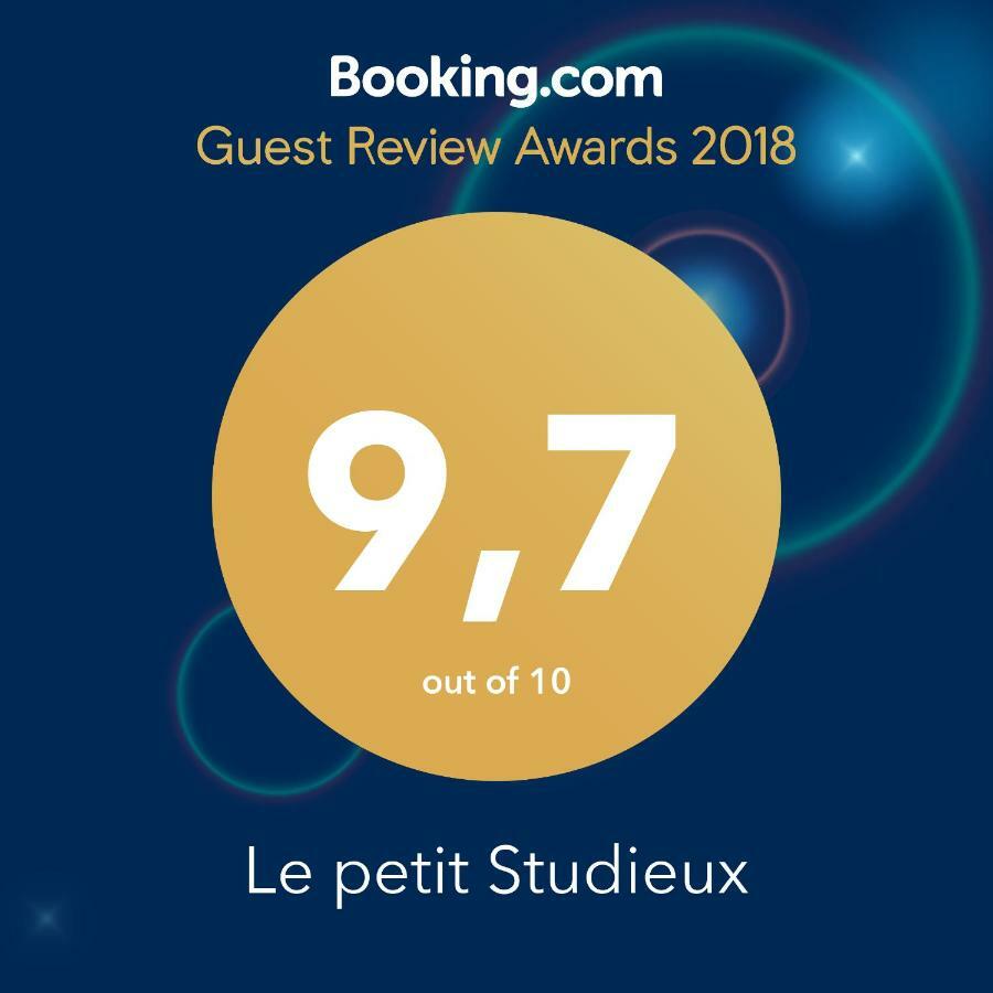 Le Petit Studieux - Parking - Animaux Acceptes - Centre Ville Accessible A Pied Albi Kültér fotó